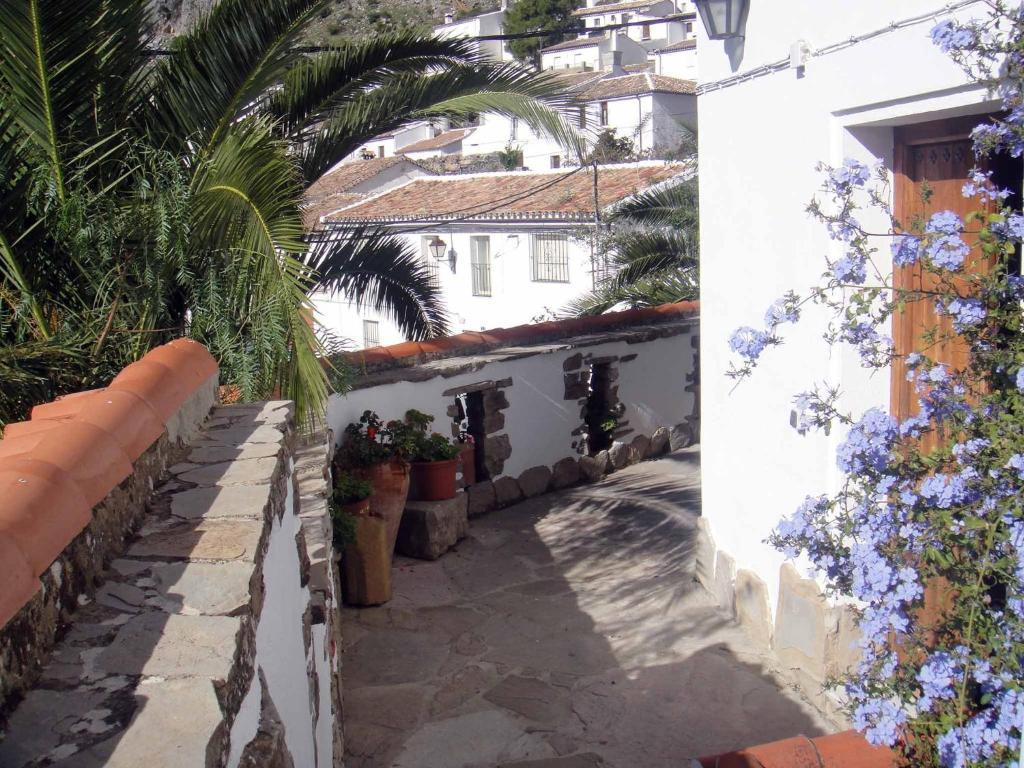Apartamentos Buganvilla Villaluenga Del Rosario Chambre photo